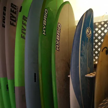 Surfintrip Academy&camp * Corralejo